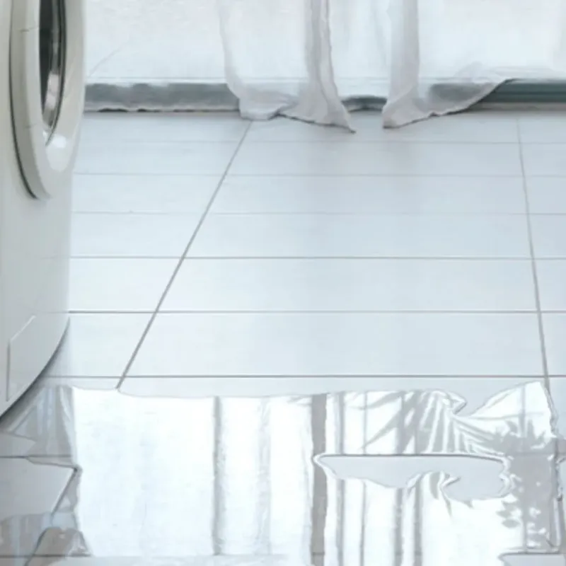 Appliance Leak Cleanup in Douglas County, OR